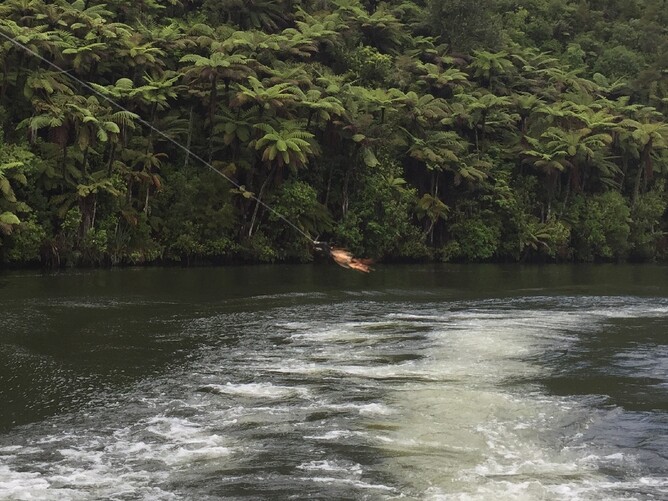 Articulated streamer Lake Arapuni