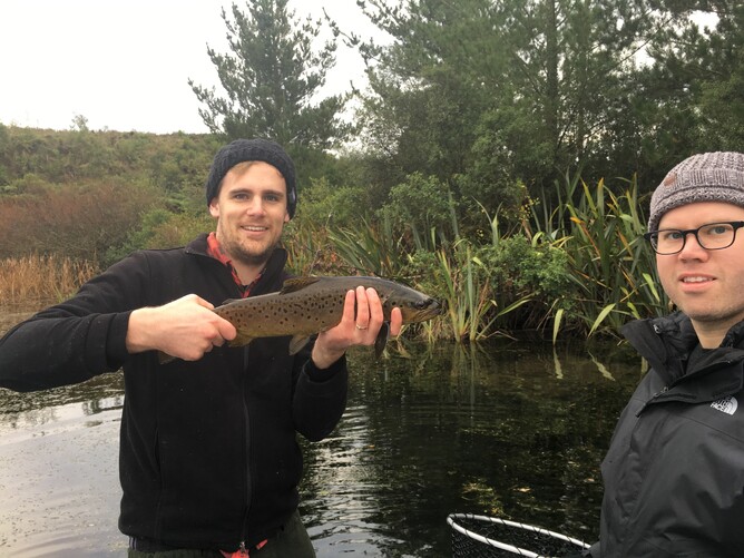 Trout Fishing Lake Atiamuri brown