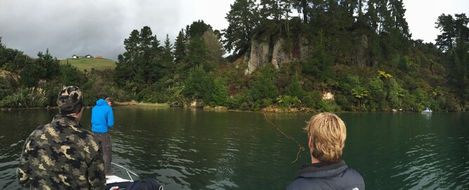 Lake Whakamaru stream mouth