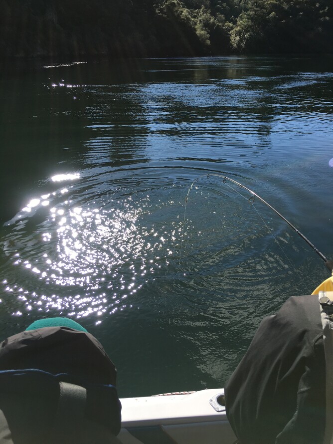 Trout Fishing Lake Atiamuri